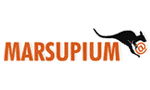 Nace Marsupium, iniciativa para las start ups de Cisco y Sun
