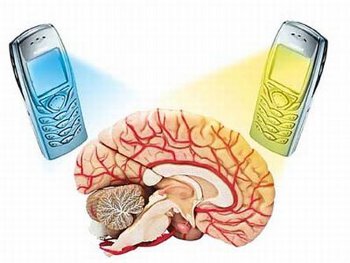 AT4 acreditada por ENAC para determinar la tasa de absorción específica en móviles
