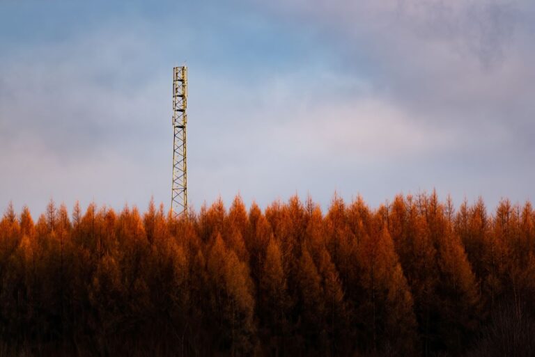Torre de telecomunicaciones en un área rural