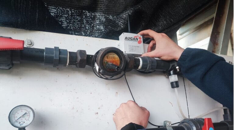 Augan detecta enfermedades en el ganado porcino gracias a la IoT