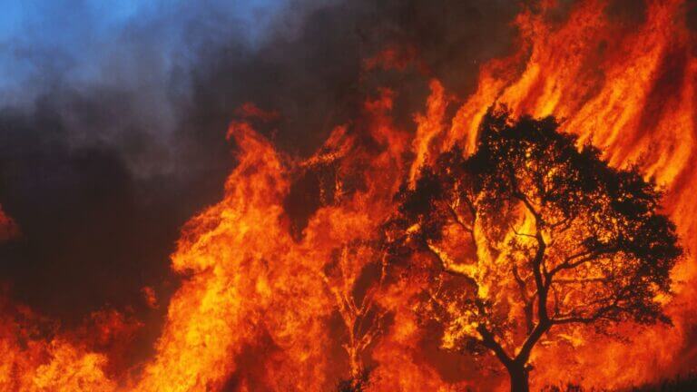 Redes inalámbricas privadas para gestión y previsión de catástrofes