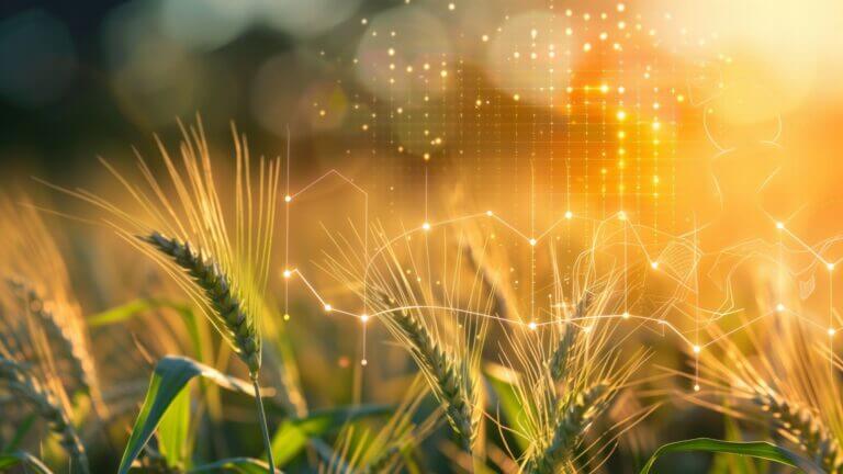 IoT y seguridad en el ámbito rural