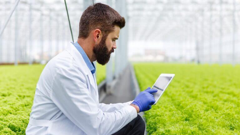 Agricultura inteligente: el potencial de la IoT