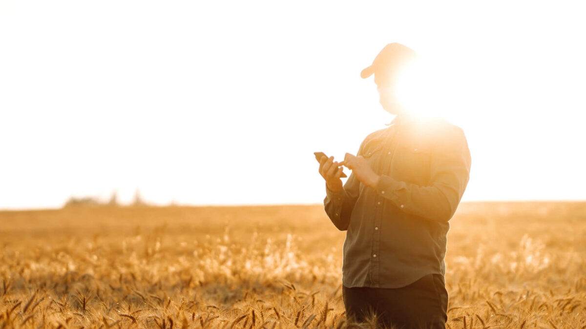 El 9% del mercado móvil está en manos de los operadores de proximidad