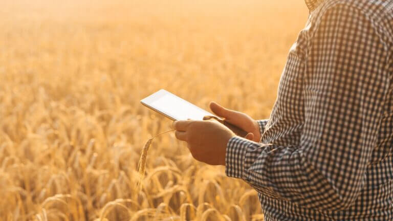 Velocidad de conexión y 5G: principales diferencias entre campo-ciudad