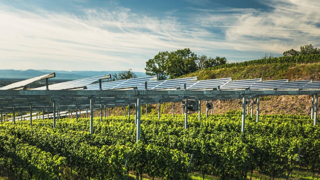 TECSOL-FRUT: agrivoltaica inteligente para optimizar los cultivos frutales