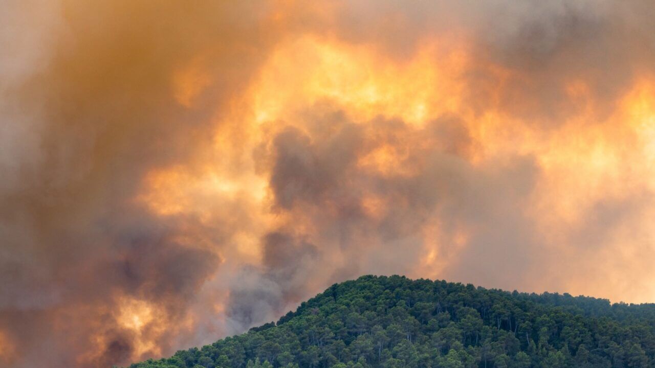 Prueba de fuego del D2D en España: modelo multioperador como precedente de resiliencia en Europa