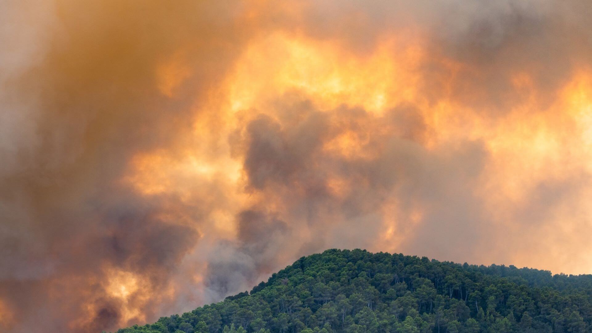 Prueba de fuego del D2D en España: modelo multioperador como precedente de resiliencia en Europa